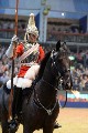 Cavalry - 00314